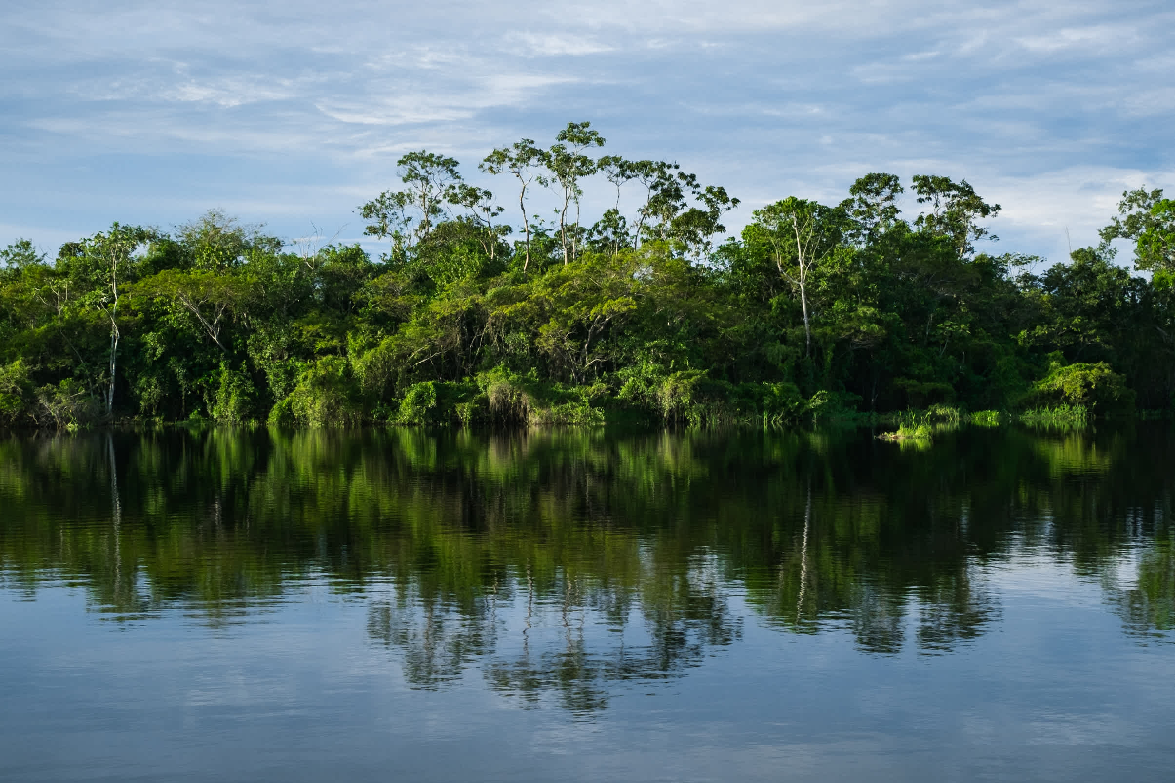 Der Imiria-See in Peru spiegelt den Tieflandregenwald mit seiner üppigen Vegetation wider.