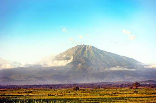 Le cratère du Ngorongoro, un spectacle naturel impressionnant lors d'un safari en Tanzanie