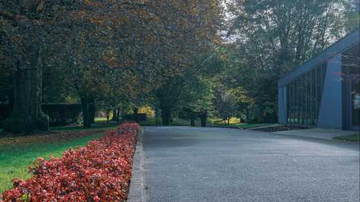 Blumengarten im People's Park, Limerick, Irland