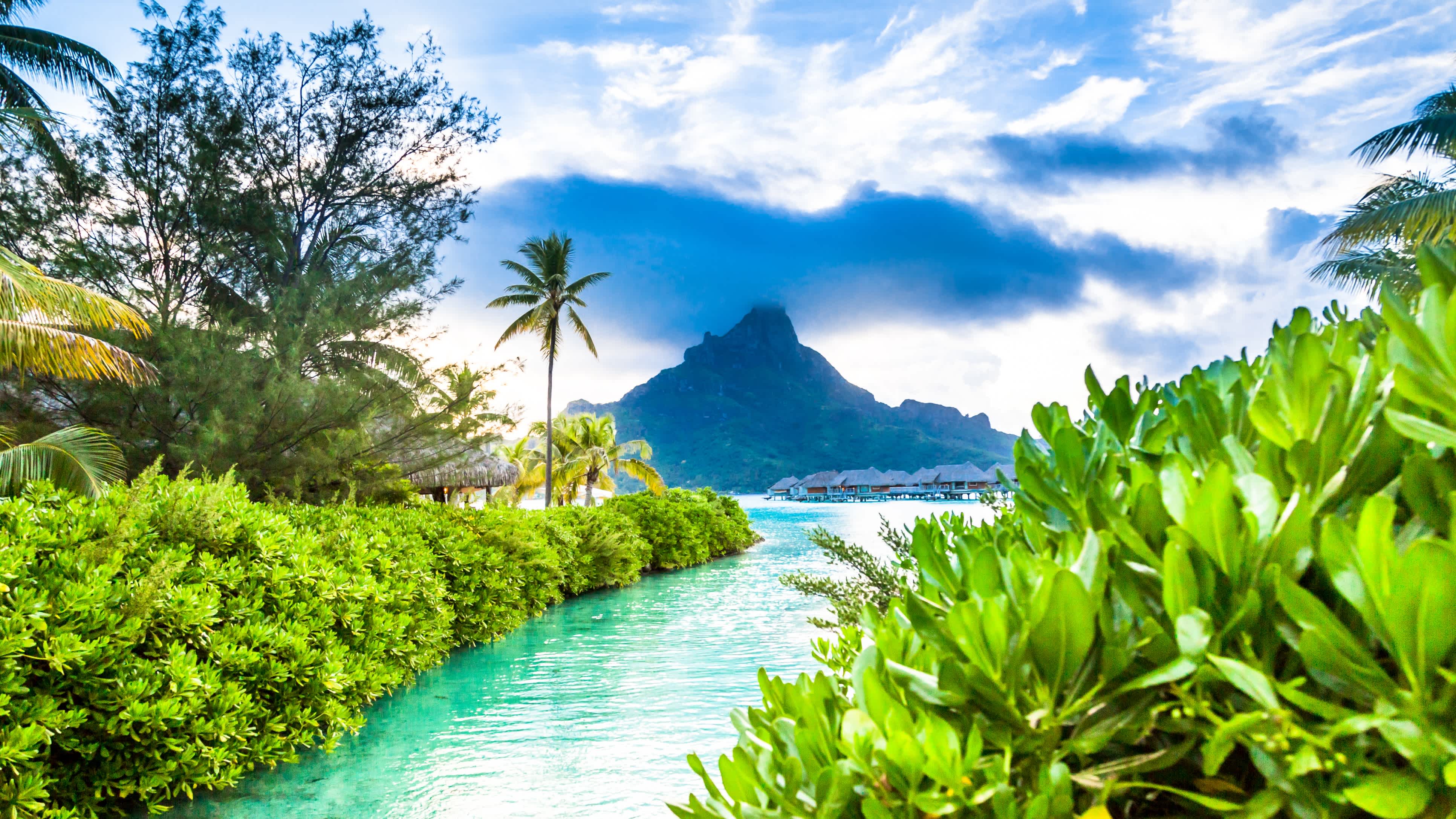 Go on a French Polynesia vacation to see turquoise waters surrounded by greenery, giving way to the ocean and a mountain looms in the background.