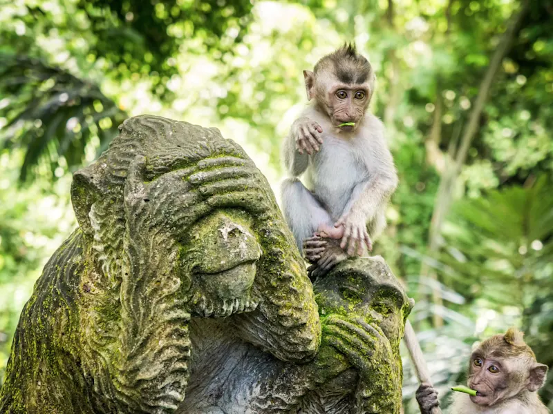 Ubud, Bali, Indonesien Junger Affe auf Statue der drei weisen Affen im Dschungel. Ubud, Bali, Indonesien.