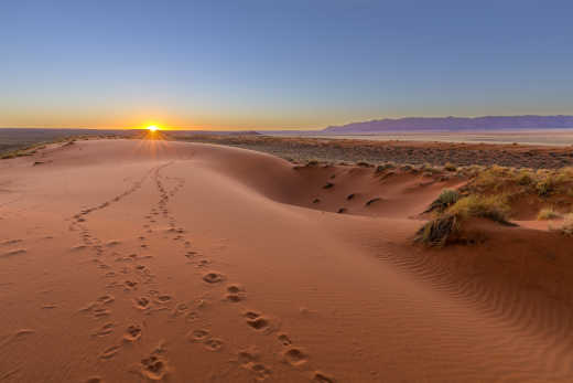 Der Sonnenuntergang auf der Kalahari Wüste, Namibia