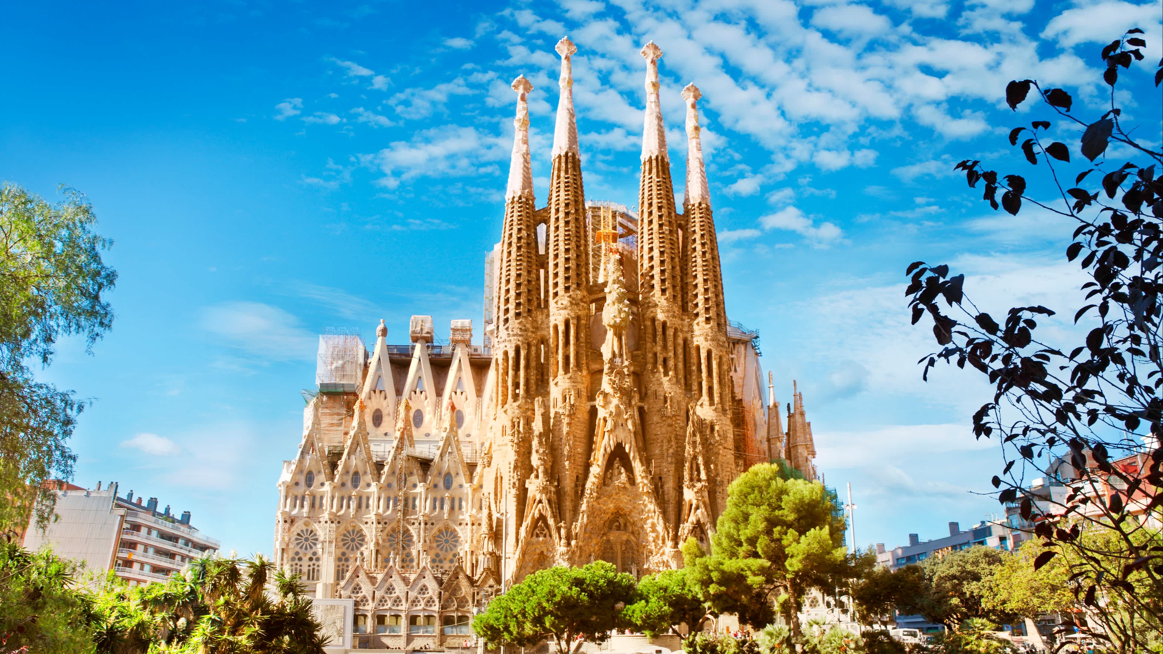 Découvrez l'incroyable cathédrale de la Sagrada Familia pendant votre séjour à Barcelone.