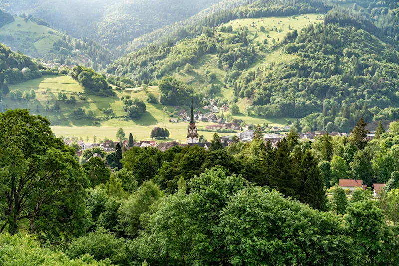 Around Schönau in the Black Forest