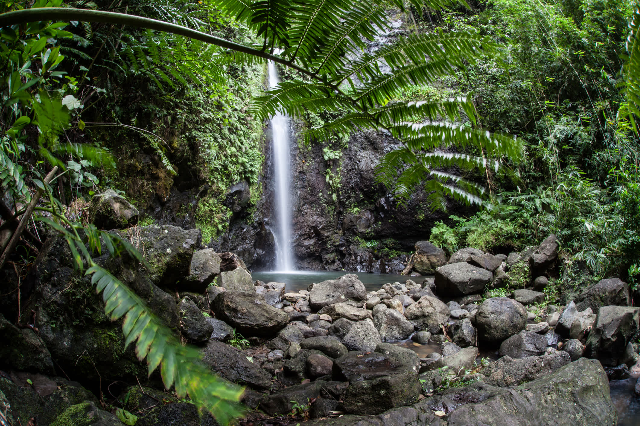 Aufnahme eines Wasserfalles auf Raiatea, Französisch Polinesien