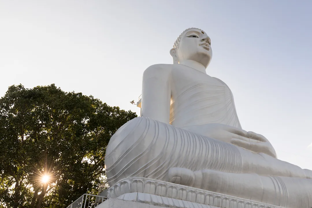 Circuit au Sri Lanka sur 15 jours