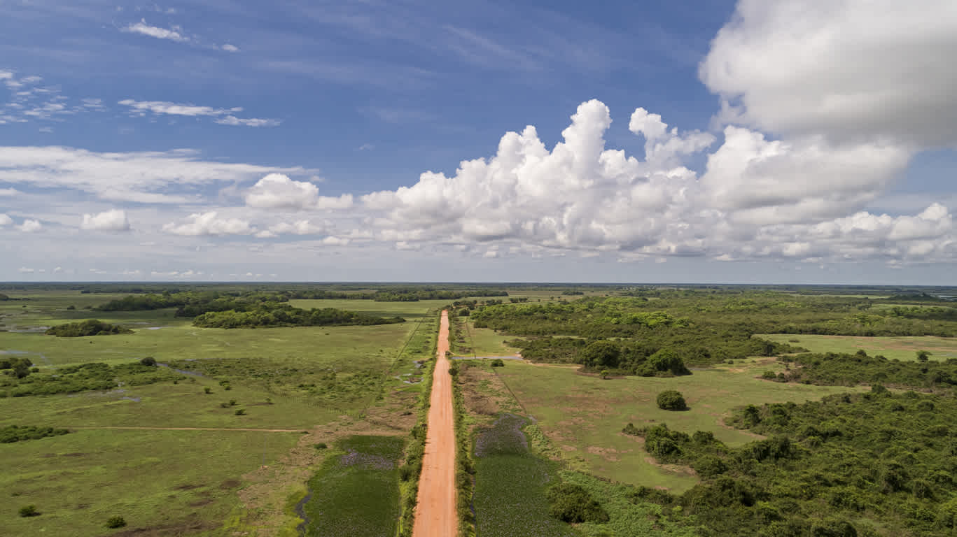 Luftaufnahme der unbefestigten Straße von Transpantaneira, die direkt durch die Feuchtgebiete des Nordpantanal führt, blauer Horizont mit weißen Wolken, Mato Grosso, Brasilien