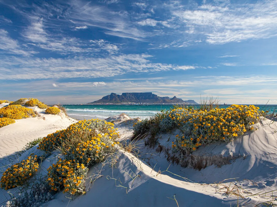 Abenteuer Südafrika & Mauritius