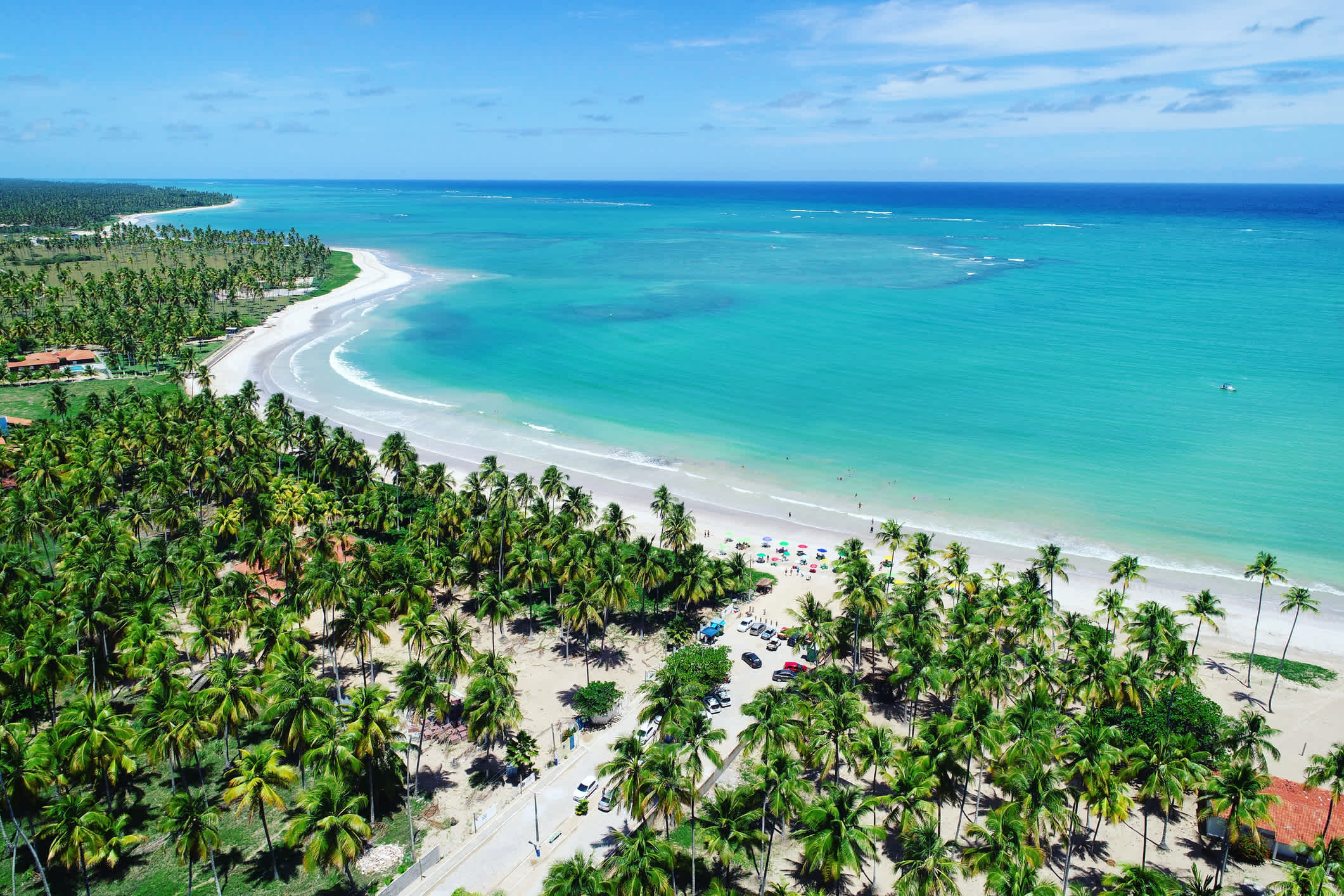 Plage de Patacho avec cocotiers, Porto de Pedras, Alagoas, Brésil.

