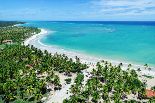 Patacho-Strand mit Kokosnusspalmen, Porto de Pedras, Alagoas, Brasilien.

