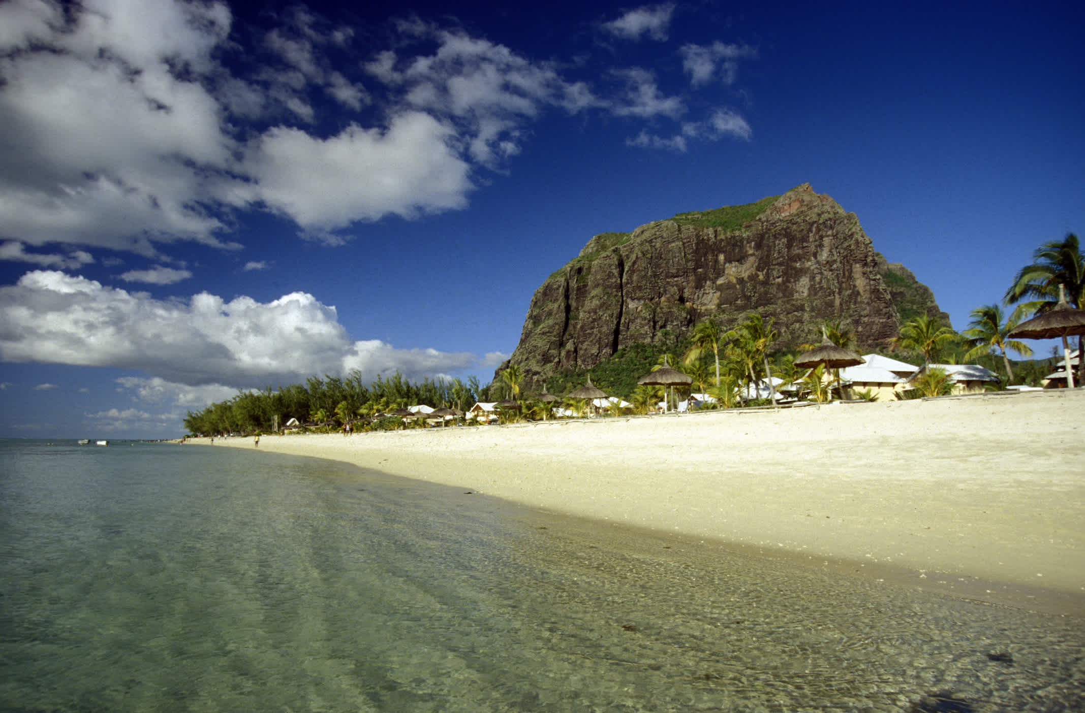 Plage de sable blanc avec une falaise verdoyante en arrière-plan, à Tamarin, Île Maurice. 

