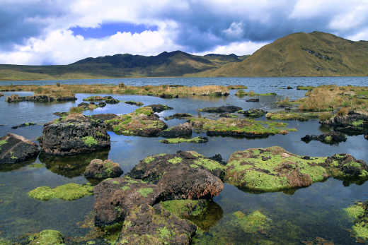 Discover the beautiful mountains of water of Cajas National Park, pictured here, on an Ecuador tour