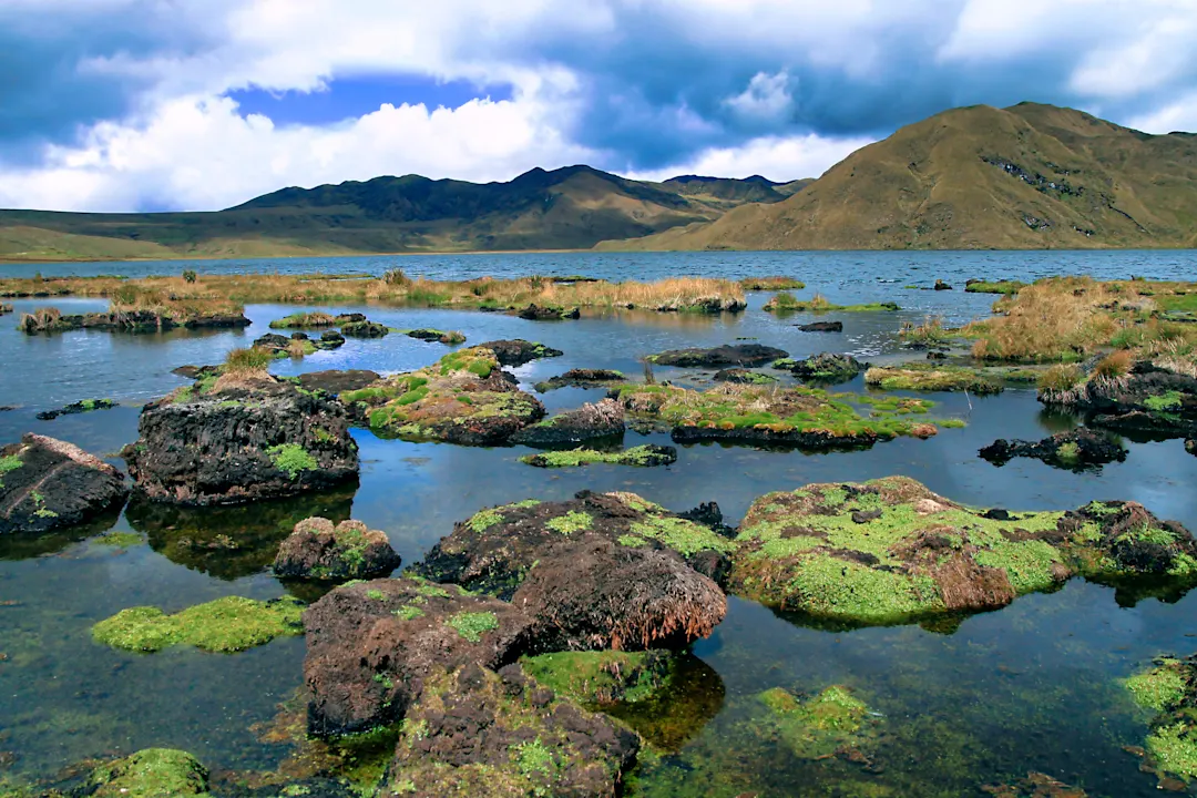 Cajas National Park, Ecuador Discover the beautiful mountains of water of Cajas National Park, pictured here, on an Ecuador tour