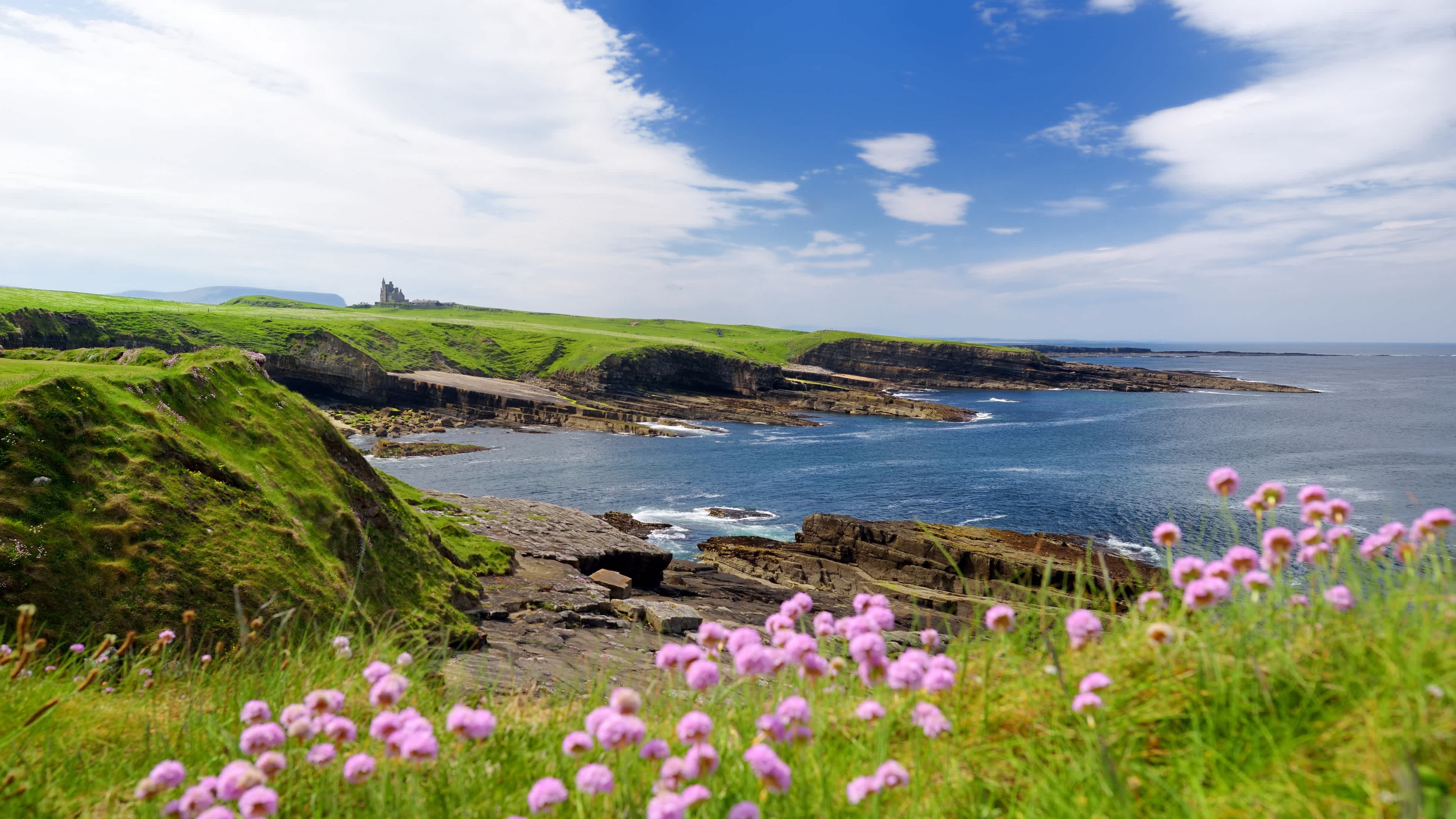 Vue sur la côte avec des collines verdoyantes, des fleurs pourpres et des ciels bleus à Sligo, en Irlande