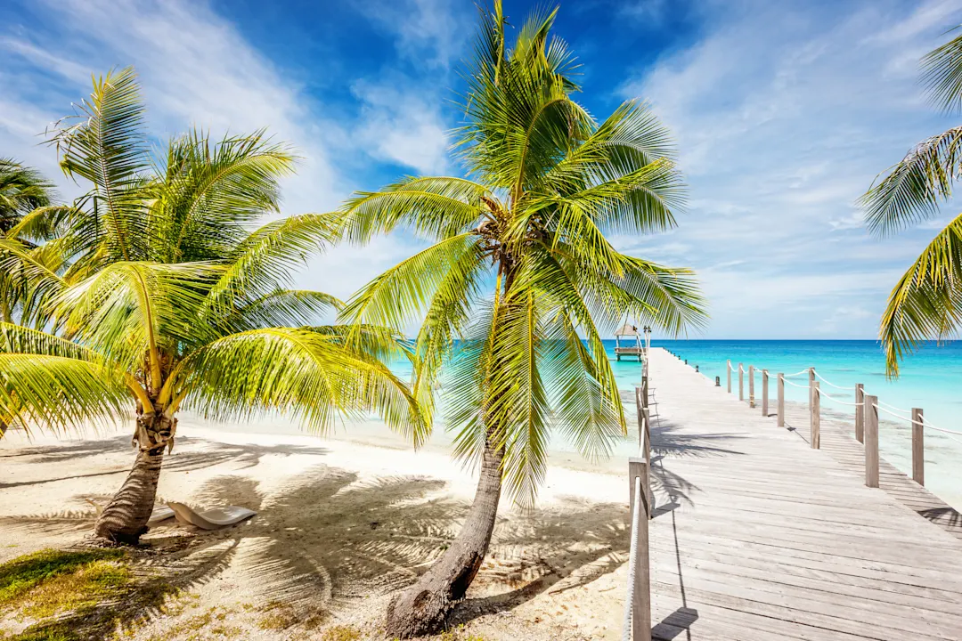 Holzsteg führt durch Palmen zum türkisblauen Meer, weißer Sandstrand unter strahlend blauem Himmel mit leichten Wolken.
