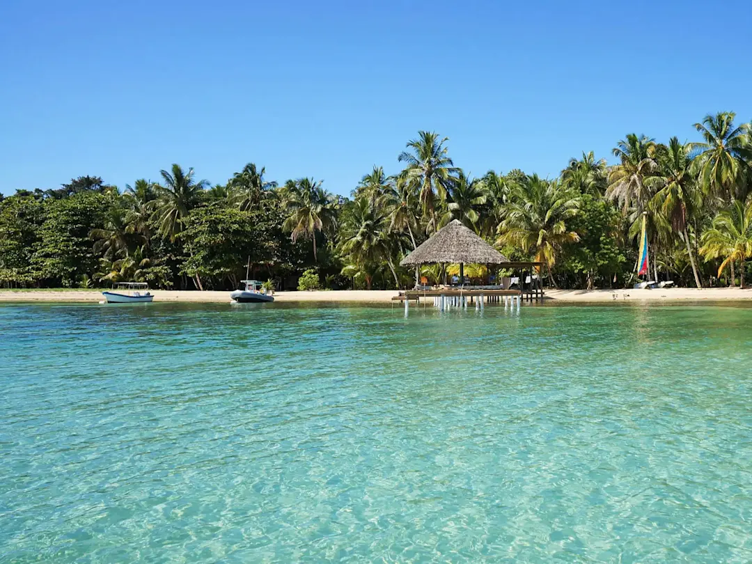 Palmenstrand mit klarem Wasser, Bocas del Toro, Bocas del Toro, Panama.