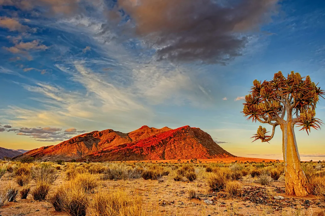 Baum und Felsen in der Kalahari