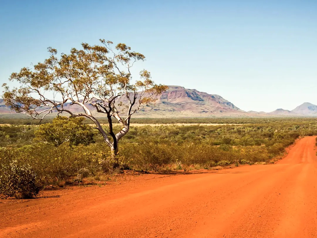 Rote Schotterstraße mit Baum und Bergen, Pilbara, Western Australia, Australien.
