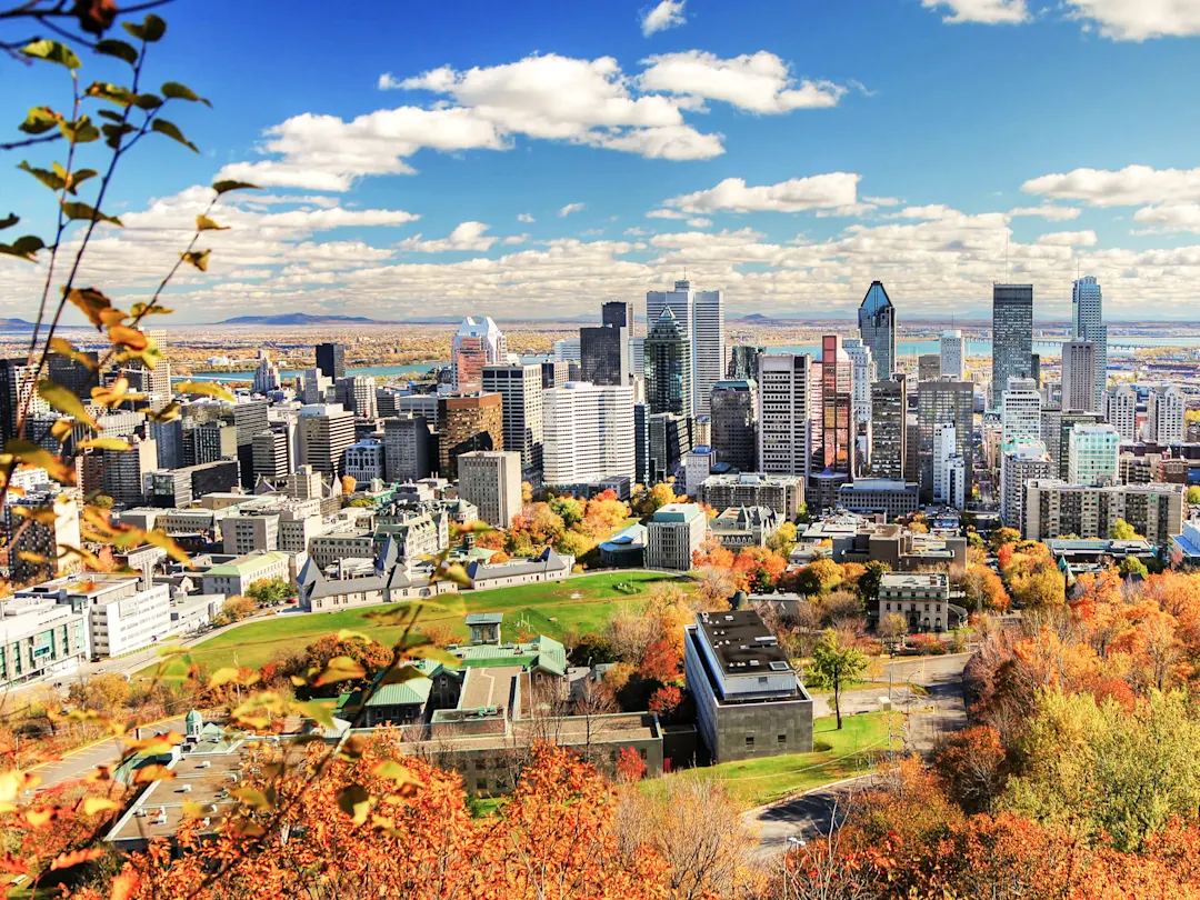 Skyline mit Herbstlaub vom Mont Royal aus gesehen. Montréal, Québec, Kanada.
