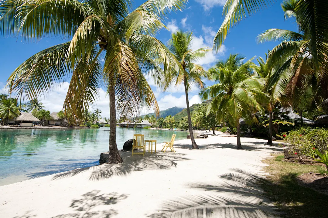 Strand und Palmen mit Liegestühlen am Strandrand, Moorea, Französisch-Polynesien