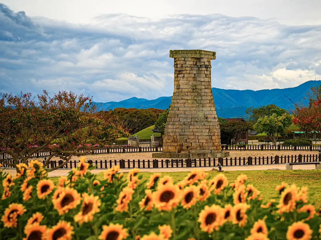 südkorea, Gyeongju, Cheomseongdae-Observatorium Historischer Turm mit Sonnenblumen im Vordergrund. Cheomseongdae, Gyeongju, Südkorea.