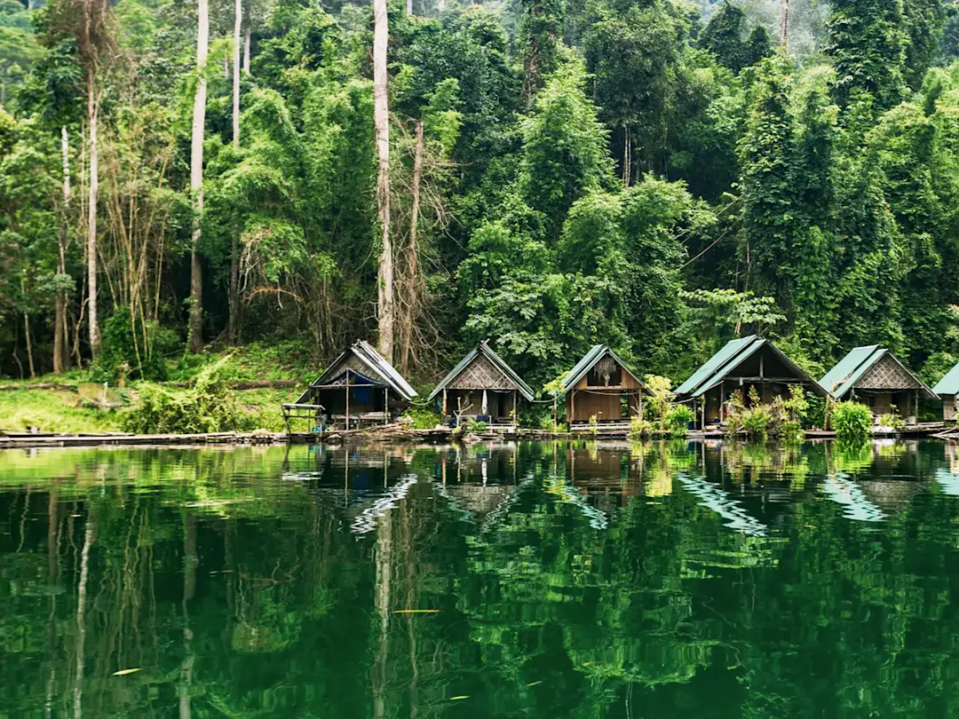 Dschungelreflektion auf einem ruhigen See. Khao Sok, Thailand.