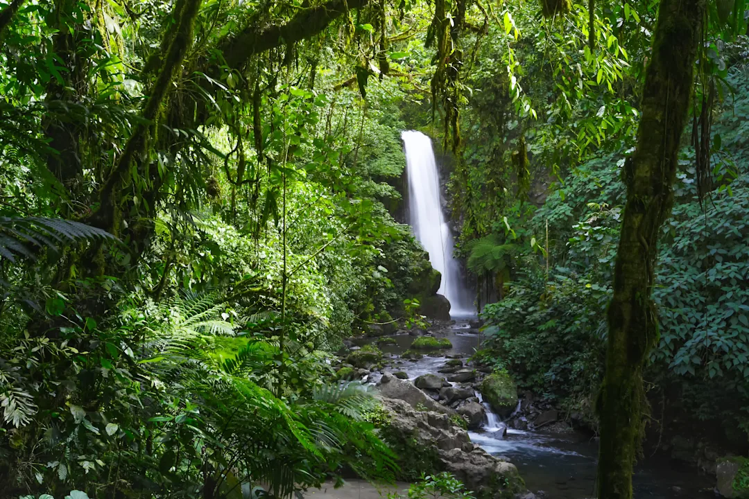 Les merveilles du Costa Rica