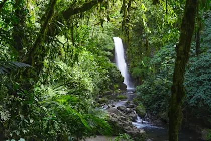 Circuit au Costa Rica de 7 jours - Image 1