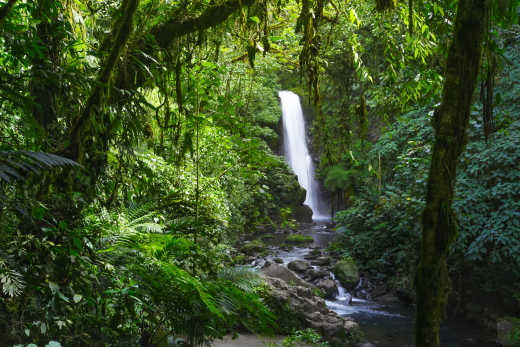 San Jose La Paz Waterfall