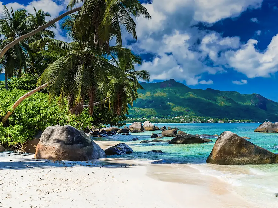 Tropischer Strand mit Palmen, Granitfelsen und kristallklarem Wasser. Seychellen.