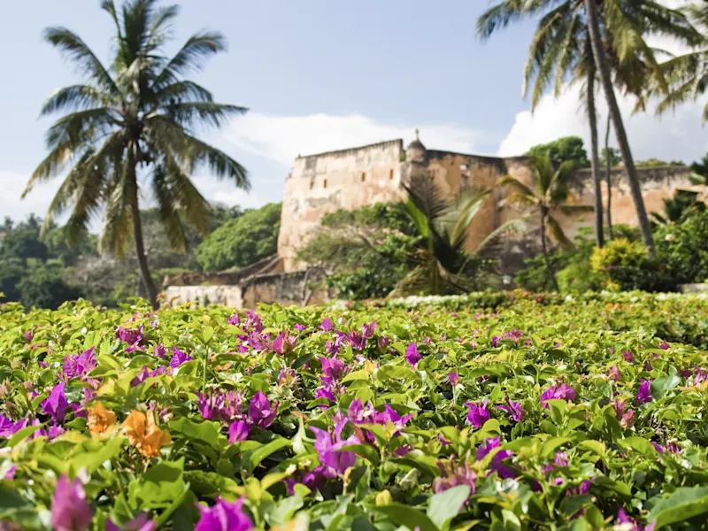 Mombasa, Coast, Kenia Blühende Bougainvillea vor der historischen Festung Fort Jesus mit Palmen. Mombasa, Coast, Kenia.