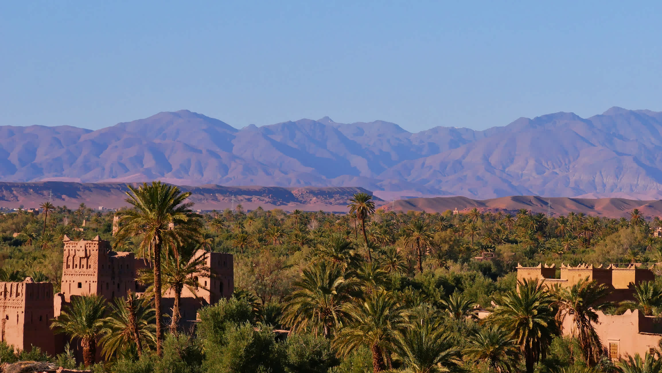 Panoramablick auf eine grüne Oase mit historischen Gebäuden in einem südlichen Atlasgebirge in Marokko