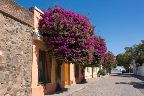 Wunschreise: Chile, Argentinien, Uruguay, Brasilien