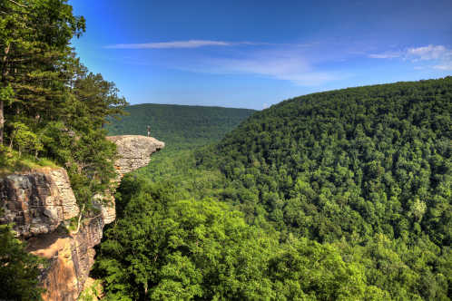 Hawksbill Crag in Arkansas mit Blick auf den Wald der Ozark Mountains.
