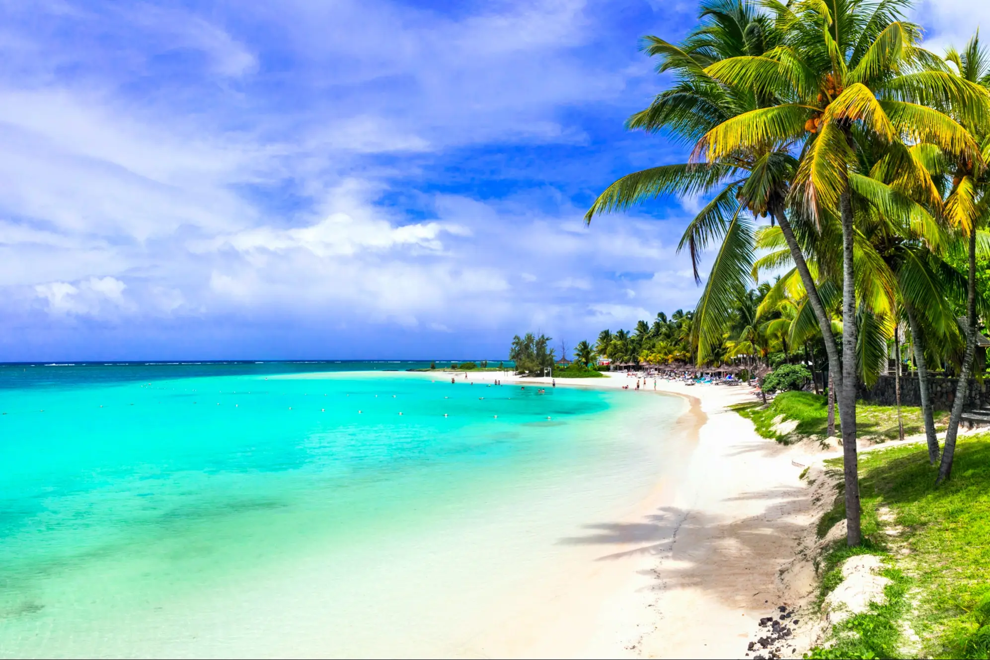 Ile Maurice, Belle Mare Plage tropicale avec palmiers