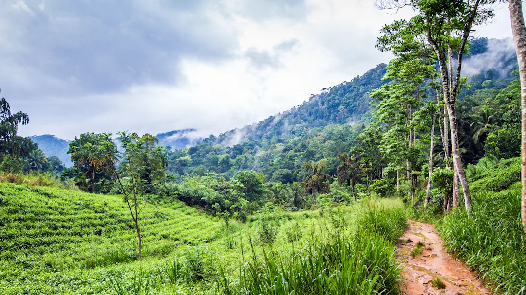 Voyage individuel au Sri Lanka