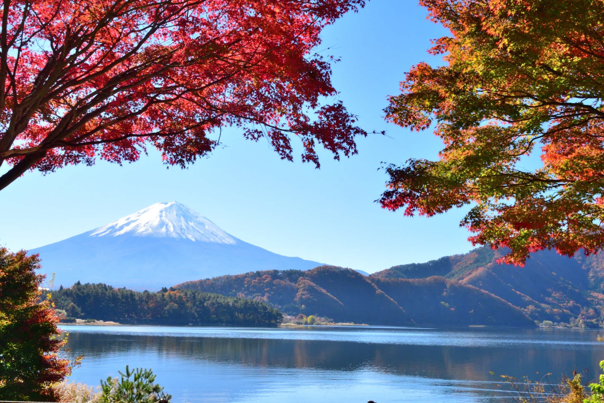 Lac dans le parc national avec le Mont Fuji en arrière-plan