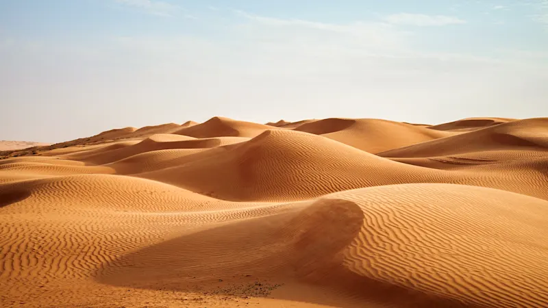 Des dunes de sable doré à perte de vue avec des motifs de vent fins sous un ciel clair. Rub al-Khali, Oman.