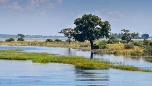 Die Landschaft des Chobe River in Botswana