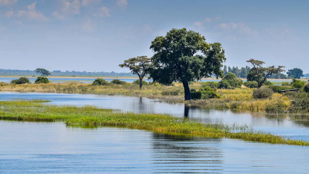 Une semaine au Botswana