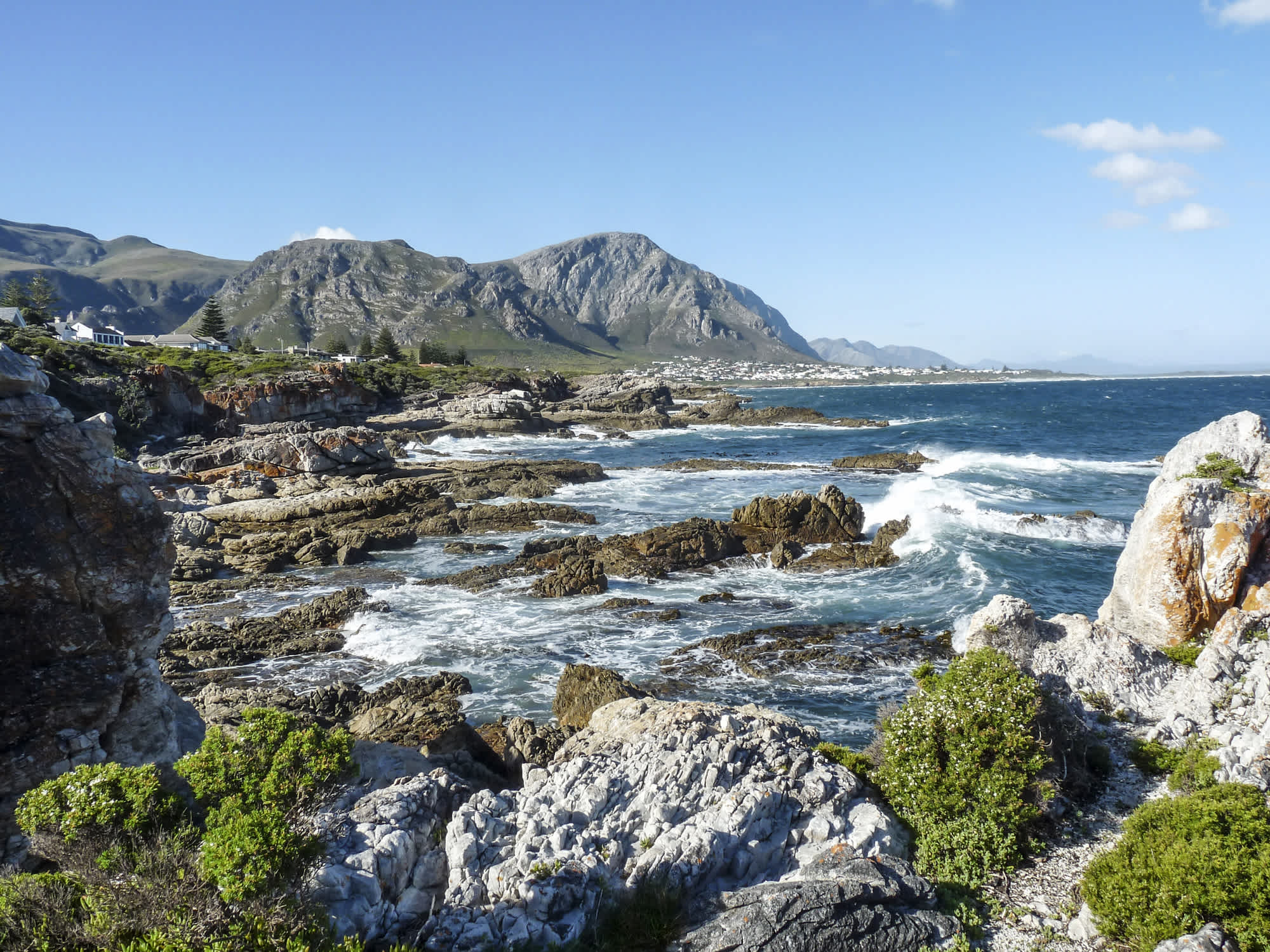 Blick zur Küste bei Fernkloof Nature Reserve bei Hermanus, Südafrika.