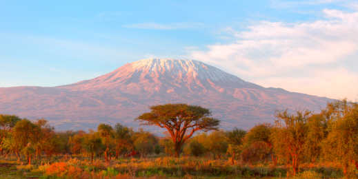 Paysage d'acacias avec le Kilimandjaro en arrière-plan, parc national d'Amboseli, au Kenya