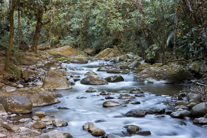 Besuchen Sie auf Ihrer Reise nach Costa Rica das Dorf San Gerardo de Dota und die umliegende Natur.