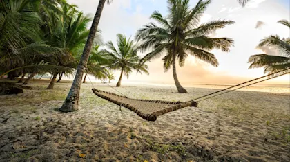 Randonnée au Mont Kenya - Image 2