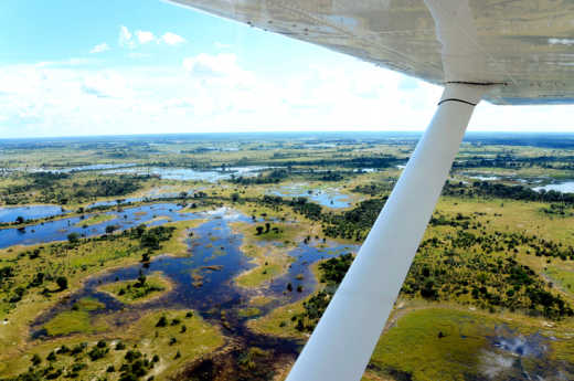 Das Okavango Delta bei einer Fly-in Safari aus der Luft genießen - Tourlane organisiert's!