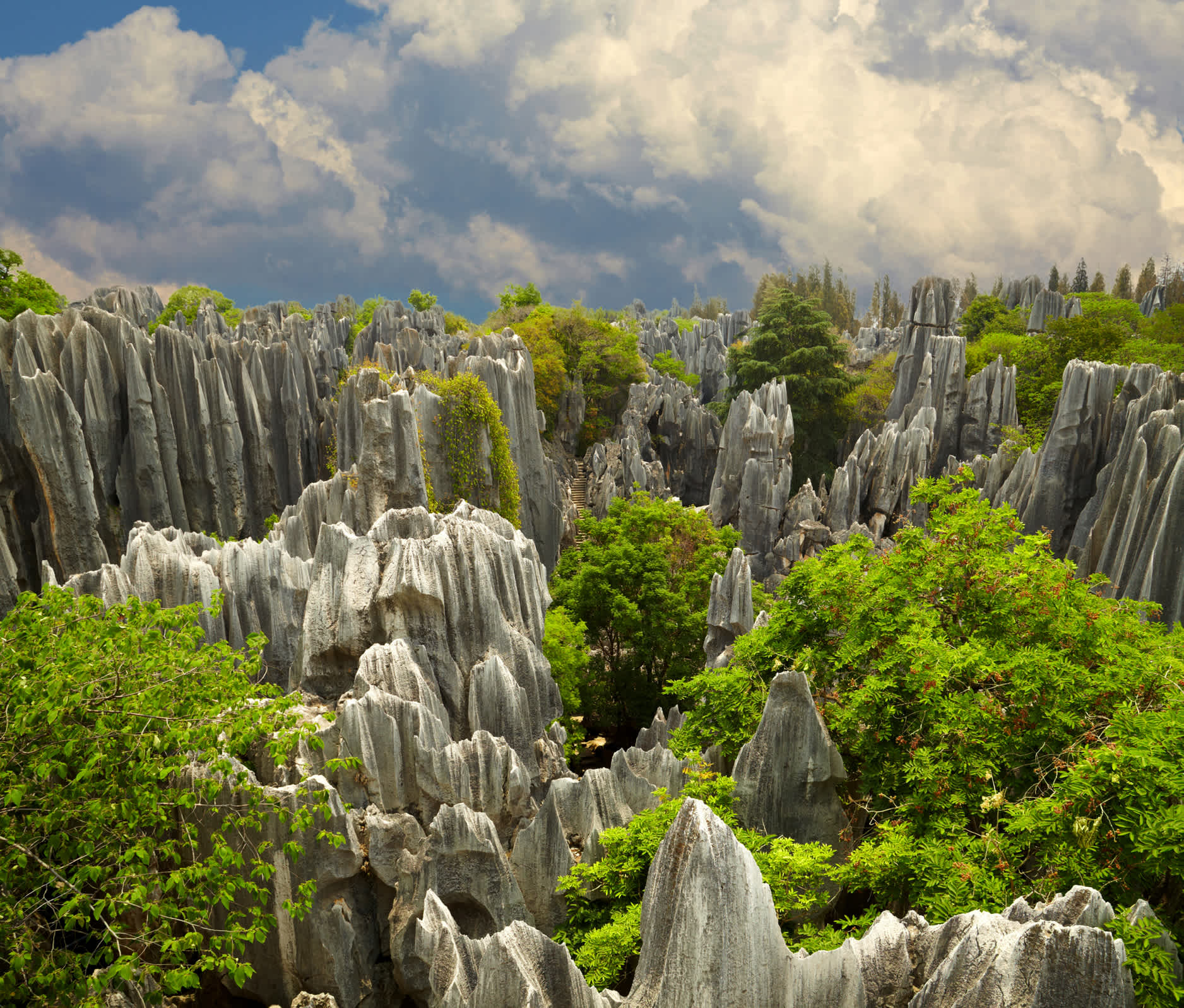 Blick auf den herrlichen Steinwald Shi Lin, einen Nationalpark in der Provinz Yunnan, China