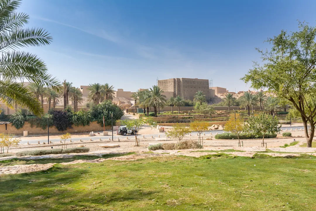 Saudi-Arabien, Riad Grüne Dattelbäume wachsen im Park in Riad, Saudi-Arabien.