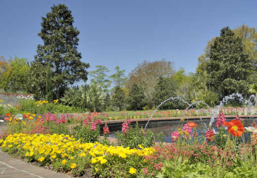 Brookgreen Gardens ist ein Muss bei einem Urlaub in Myrtle Beach - von Tourlane organisiert.