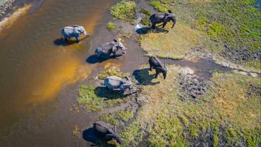 Luftaufnahme des Elefanten, Okavango Delta, Botswana, Afrika