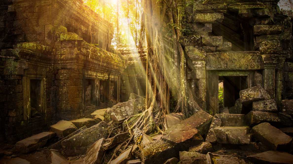 Les magnifiques ruines du Temple Ta Prohm recouvertes de racines d'arbres près de Siem Reap. Un lieu incontournable à visiter pendant votre voyage au Cambodge.